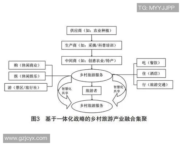 以选手为中心探索竞技世界的全新视角与成长路径