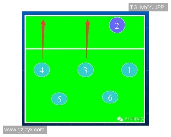 成都排球队的转换打法深度解析与战术创新探讨