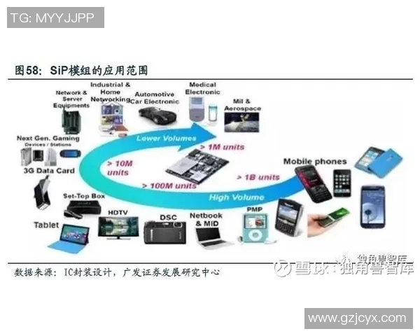 创新驱动印刷包装行业升级发展探索绿色环保与智能化融合路径